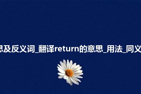 return是什么意思及反义词_翻译return的意思_用法_同义词_例句_英语短语