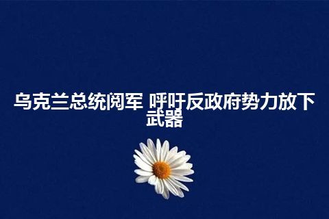 乌克兰总统阅军 呼吁反政府势力放下武器