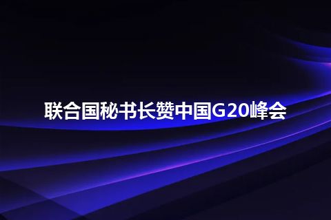 联合国秘书长赞中国G20峰会