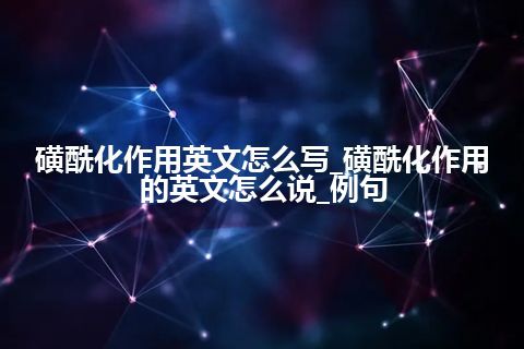 磺酰化作用英文怎么写_磺酰化作用的英文怎么说_例句