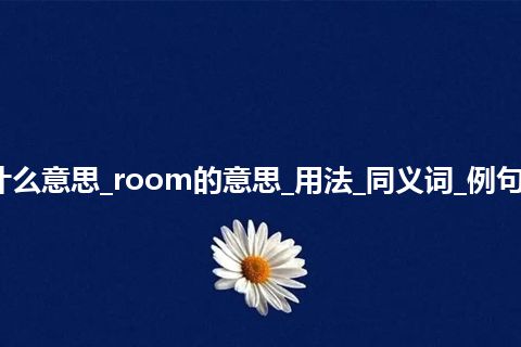 room是什么意思_room的意思_用法_同义词_例句_英语短语