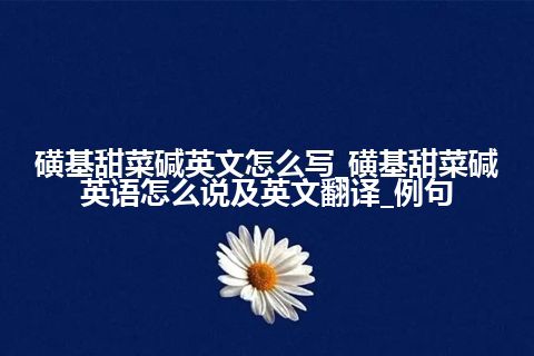 磺基甜菜碱英文怎么写_磺基甜菜碱英语怎么说及英文翻译_例句