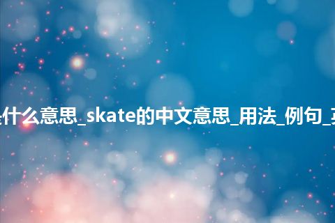 skate是什么意思_skate的中文意思_用法_例句_英语短语