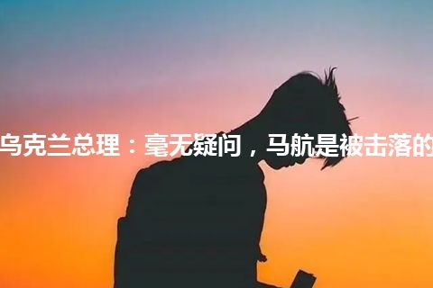 乌克兰总理：毫无疑问，马航是被击落的