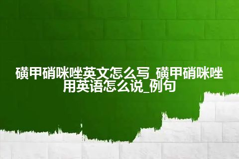 磺甲硝咪唑英文怎么写_磺甲硝咪唑用英语怎么说_例句