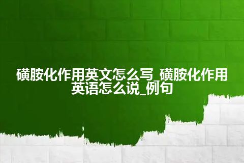 磺胺化作用英文怎么写_磺胺化作用英语怎么说_例句