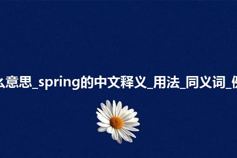 spring是什么意思_spring的中文释义_用法_同义词_例句_英语短语