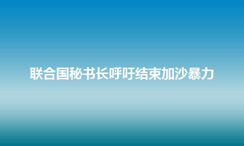 联合国秘书长呼吁结束加沙暴力