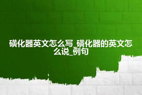 磺化器英文怎么写_磺化器的英文怎么说_例句