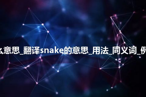 snake是什么意思_翻译snake的意思_用法_同义词_例句_英语短语