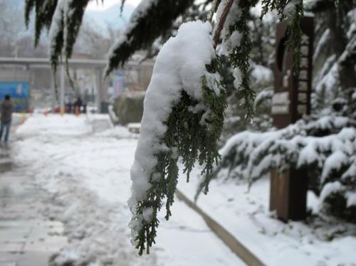 中国中东部地区迎来首场雪