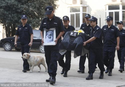 感人！警犬“旺财”的葬礼