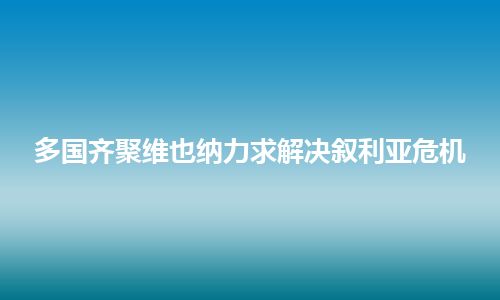 多国齐聚维也纳力求解决叙利亚危机