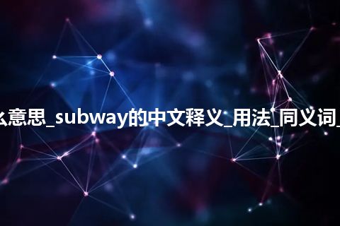 subway是什么意思_subway的中文释义_用法_同义词_例句_英语短语