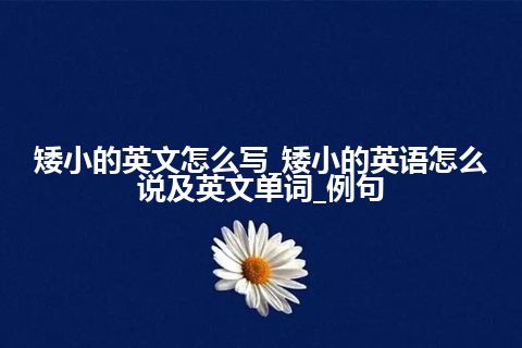 矮小的英文怎么写_矮小的英语怎么说及英文单词_例句