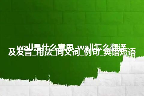 wall是什么意思_wall怎么翻译及发音_用法_同义词_例句_英语短语