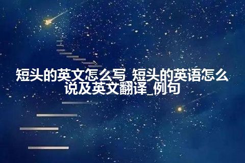 短头的英文怎么写_短头的英语怎么说及英文翻译_例句