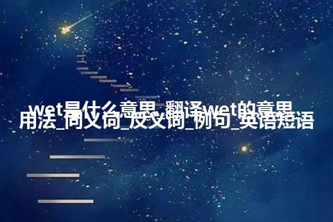 wet是什么意思_翻译wet的意思_用法_同义词_反义词_例句_英语短语