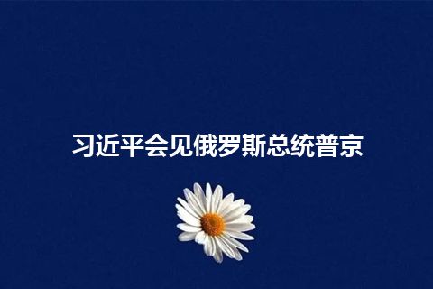 习近平会见俄罗斯总统普京