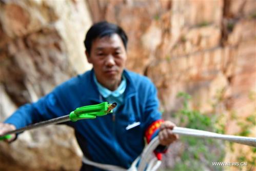 五一小长假迎旅游高峰 “蜘蛛侠”们更忙了