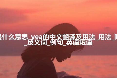 yea是什么意思_yea的中文翻译及用法_用法_同义词_反义词_例句_英语短语