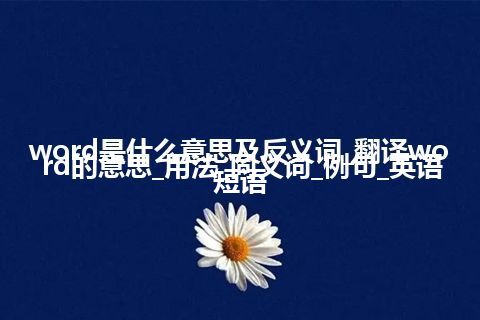 word是什么意思及反义词_翻译word的意思_用法_同义词_例句_英语短语