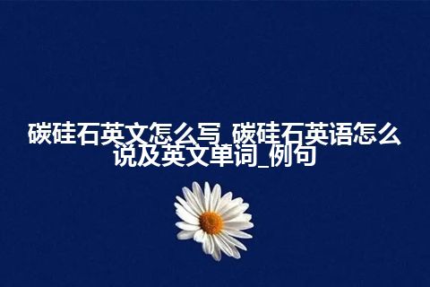 碳硅石英文怎么写_碳硅石英语怎么说及英文单词_例句