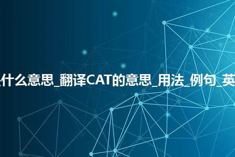 CAT是什么意思_翻译CAT的意思_用法_例句_英语短语