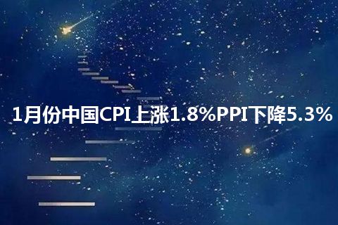 1月份中国CPI上涨1.8%PPI下降5.3%