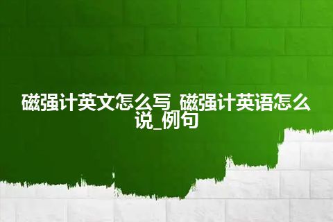 磁强计英文怎么写_磁强计英语怎么说_例句