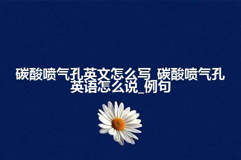 碳酸喷气孔英文怎么写_碳酸喷气孔英语怎么说_例句