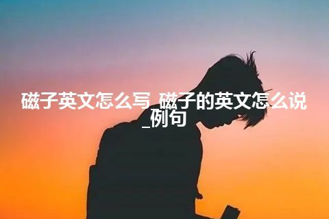 磁子英文怎么写_磁子的英文怎么说_例句