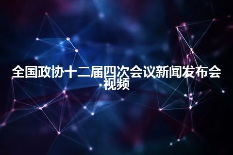 全国政协十二届四次会议新闻发布会视频