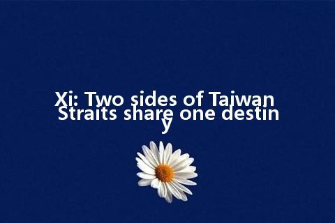 Xi: Two sides of Taiwan Straits share one destiny