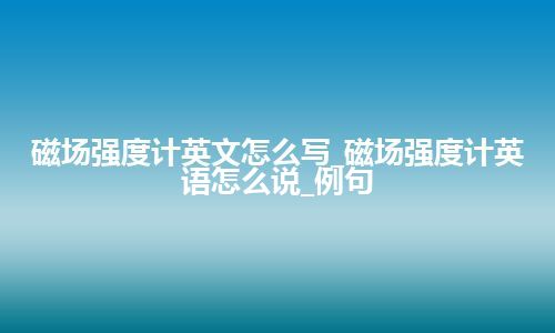 磁场强度计英文怎么写_磁场强度计英语怎么说_例句