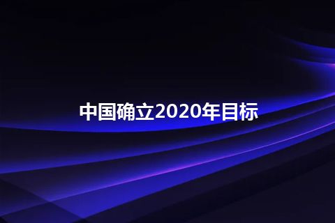 中国确立2020年目标