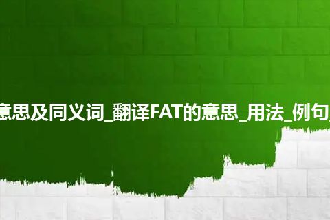 FAT什么意思及同义词_翻译FAT的意思_用法_例句_英语短语