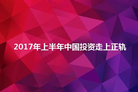 2017年上半年中国投资走上正轨