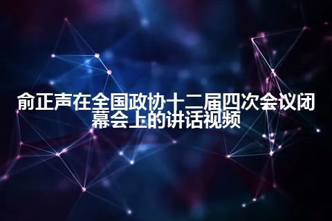 俞正声在全国政协十二届四次会议闭幕会上的讲话视频