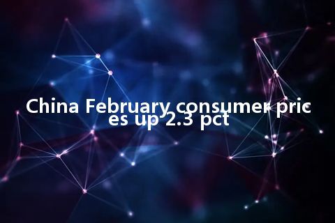 China February consumer prices up 2.3 pct