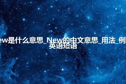 New是什么意思_New的中文意思_用法_例句_英语短语