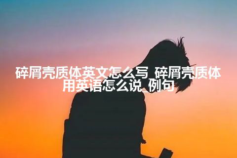 碎屑壳质体英文怎么写_碎屑壳质体用英语怎么说_例句