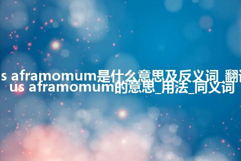 genus aframomum是什么意思及反义词_翻译genus aframomum的意思_用法_同义词