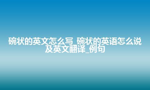 碗状的英文怎么写_碗状的英语怎么说及英文翻译_例句