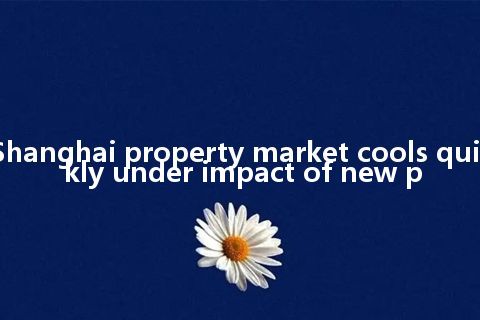 Shanghai property market cools quickly under impact of new p