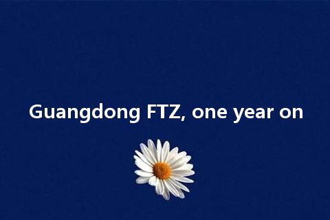 Guangdong FTZ, one year on