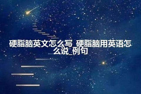 硬脂脑英文怎么写_硬脂脑用英语怎么说_例句