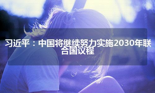 习近平：中国将继续努力实施2030年联合国议程