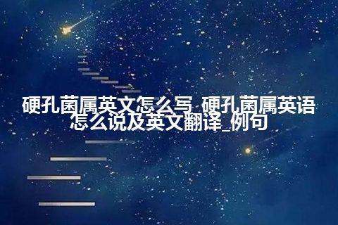 硬孔菌属英文怎么写_硬孔菌属英语怎么说及英文翻译_例句