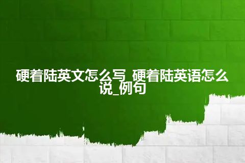 硬着陆英文怎么写_硬着陆英语怎么说_例句